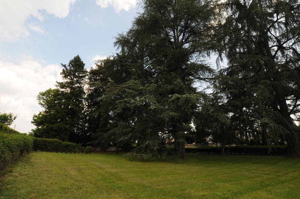 Villa Torricelli By Il Giardinetto Scarperia Dış mekan fotoğraf